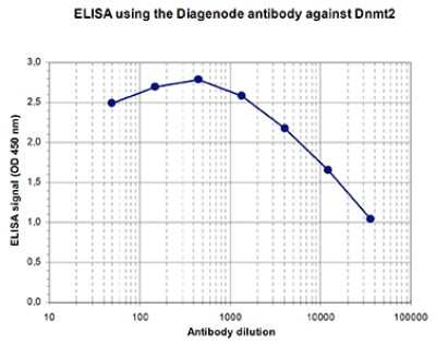 ELISA: Dnmt2 Antibody [NBP3-18663]